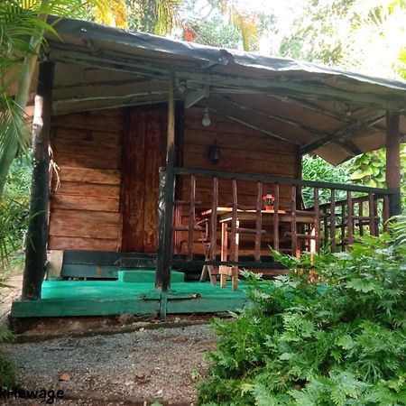 My House Ahangama Rum bild