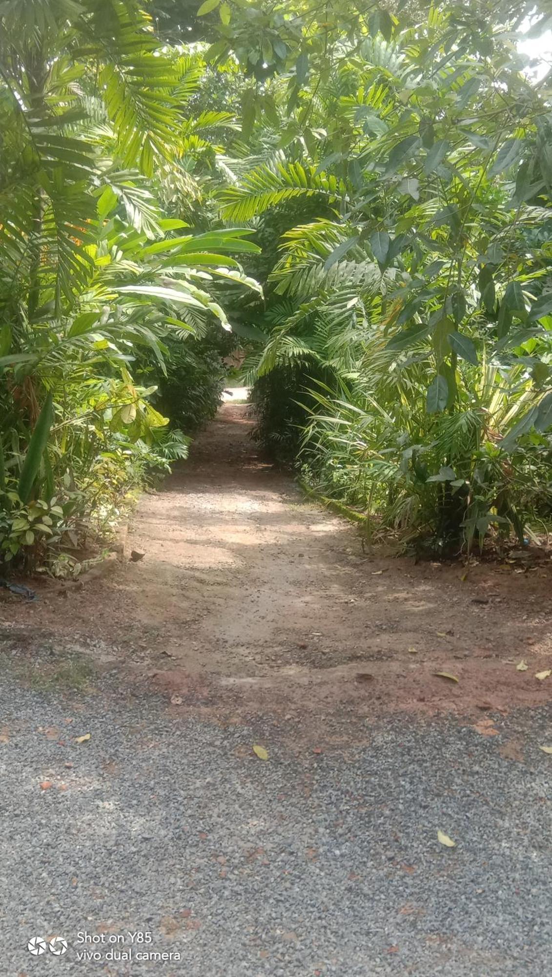 My House Ahangama Rum bild