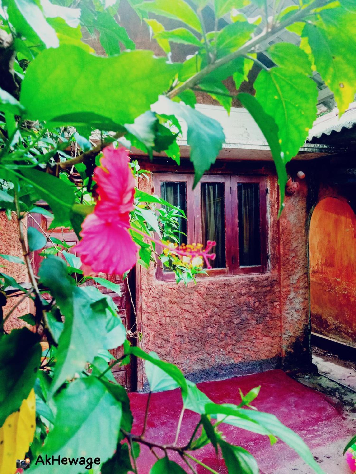 My House Ahangama Rum bild